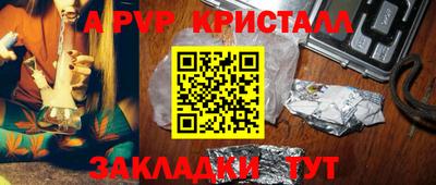 стаф Берёзовский