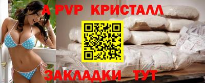стаф Берёзовский
