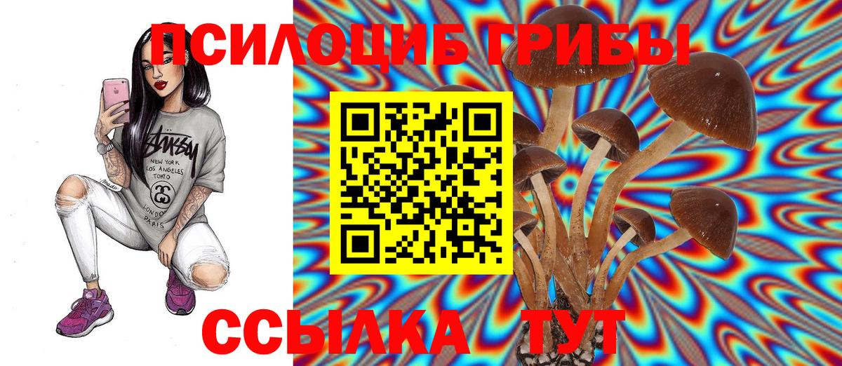 Галлюциногенные грибы GOLDEN TEACHER Избербаш
